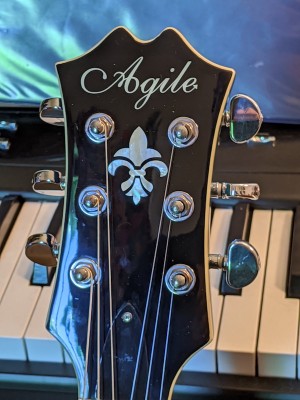 agile_headstock.jpg