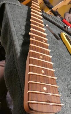 fretless strips glued.JPG