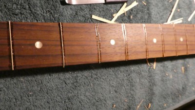 fretless inserts trimmed.JPG