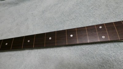 fretless neck 3.JPG