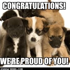 congrats puppies.jpg