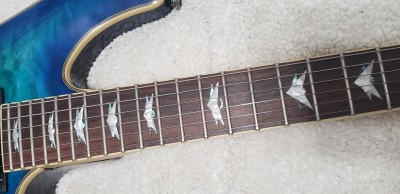 LB schecter neck.jpg