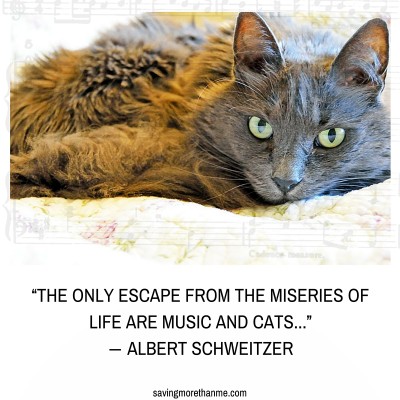 albert-schweitzer-cat-quote.jpg