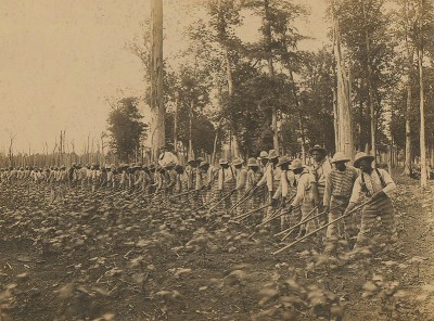 800px-Parchman_prison_convict_labor_1911.jpeg