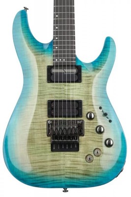 Schecter-1.jpg