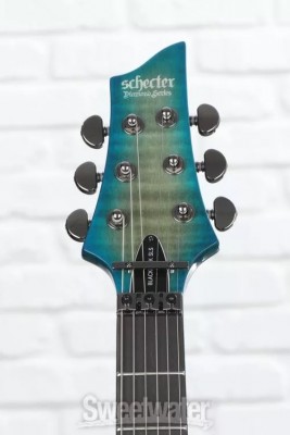 Schecter-4.jpg