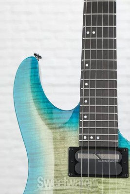 Schecter-5.jpg