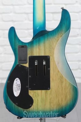 Schecter-6.jpg