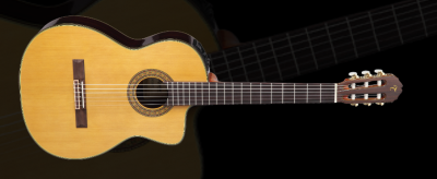 Takamine.png